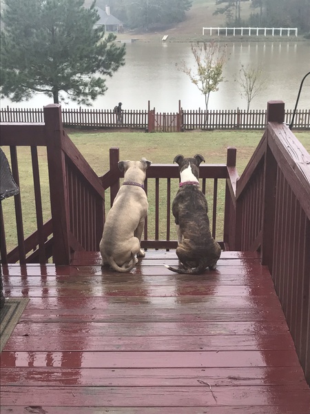 Stella and Skylar