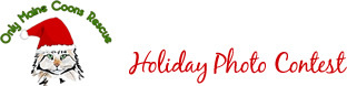 Logo for OMC! Rescues Holiday Photo Contest