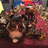 Entry image for Captain Jack