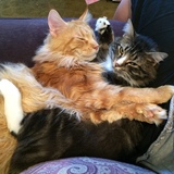Entry image for Captain Jack and Larry