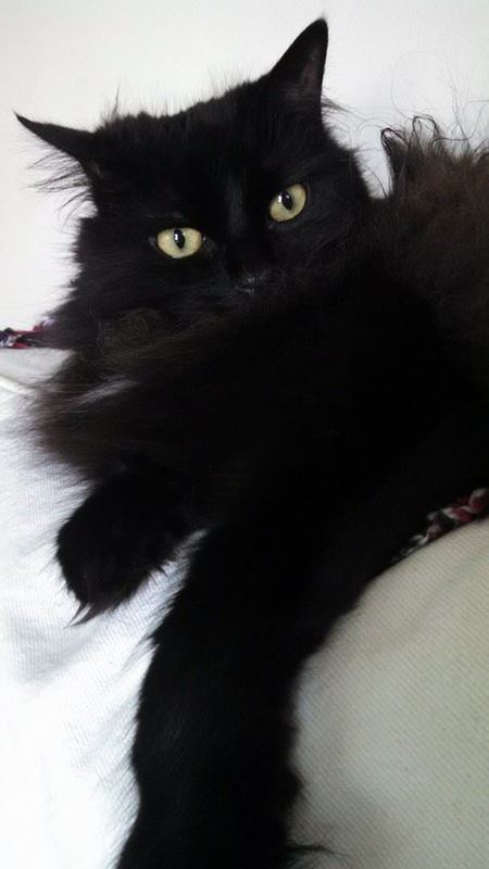 Entry image for Libby. Clicking this image will show a larger photo