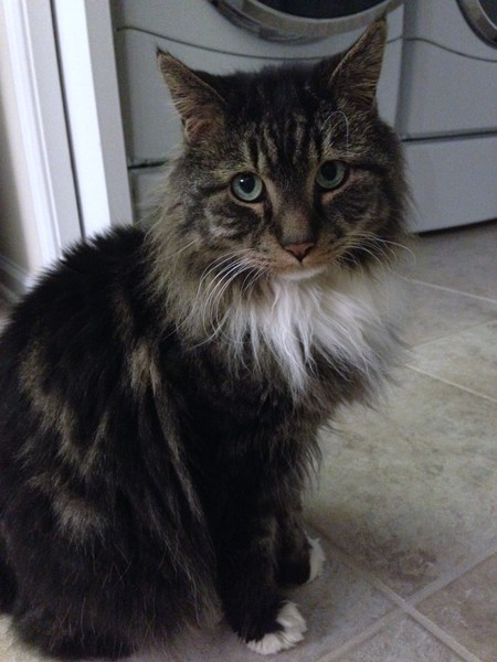 Entry image for Donny. Clicking this image will show a larger photo