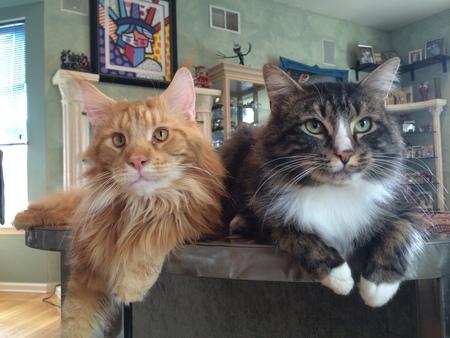 Entry image for Larry and Captain Jack. Clicking this image will show a larger photo
