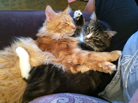 Entry image for Captain Jack and Larry. Clicking this image will show a larger photo