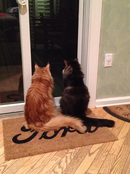 Entry image for Captain Jack and Larry. Clicking this image will show a larger photo