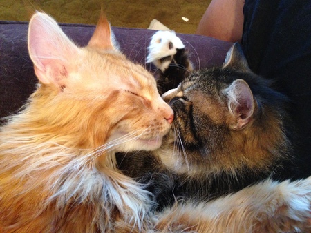 Entry image for Larry and Captain Jack. Clicking this image will show a larger photo