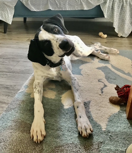 Zoe