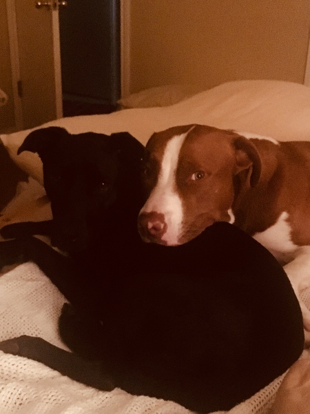 Lily and Kaiser 