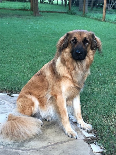 Molly