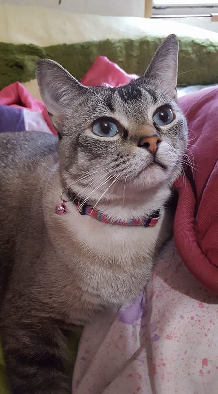 Heidi