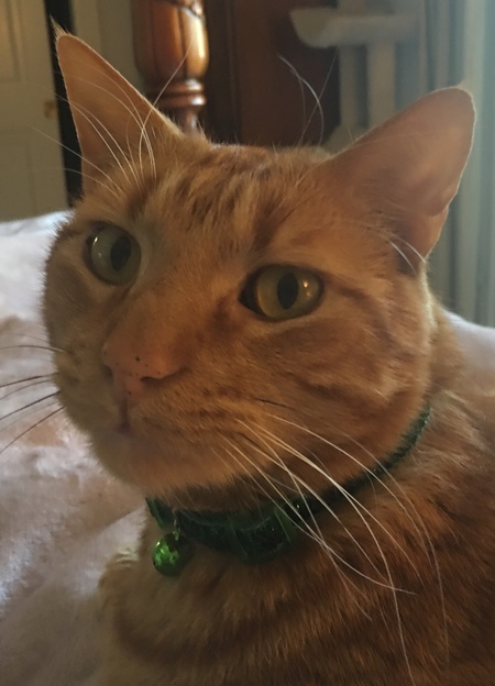 Cheeto