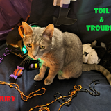 Entry image for Ruby