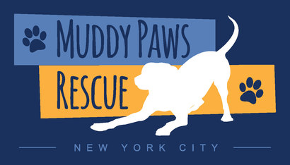Logo for I Love My Muddy Mutt 2020 Calendar Contest