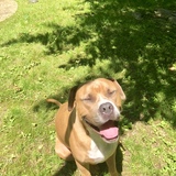 Entry image for Zeus