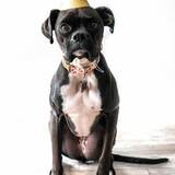 Entry image for Tamra Mae