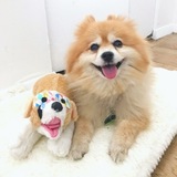 Entry image for Fluffy