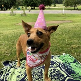 Entry image for Peach