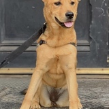 Entry image for Peggy