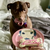 Entry image for Tessa Ryger