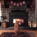 Entry image for Maddie