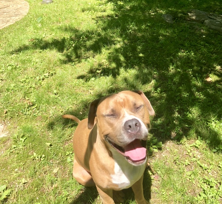 Entry image for Zeus. Clicking this image will show a larger photo