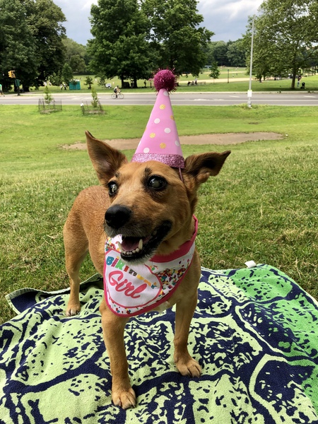Entry image for Peach. Clicking this image will show a larger photo