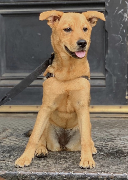 Entry image for Peggy. Clicking this image will show a larger photo
