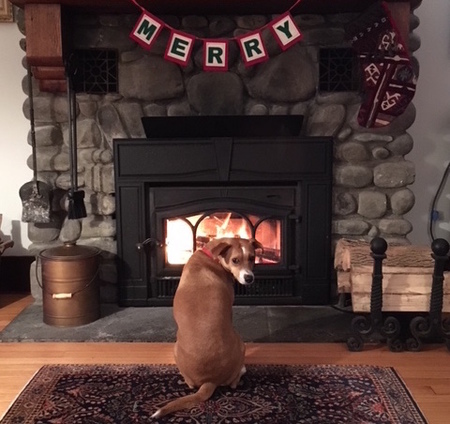 Entry image for Maddie. Clicking this image will show a larger photo