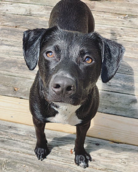 Entry image for Winnie. Clicking this image will show a larger photo