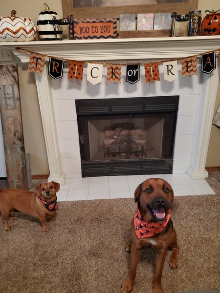 Sadie and Nelson 