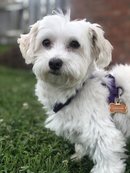 Jax