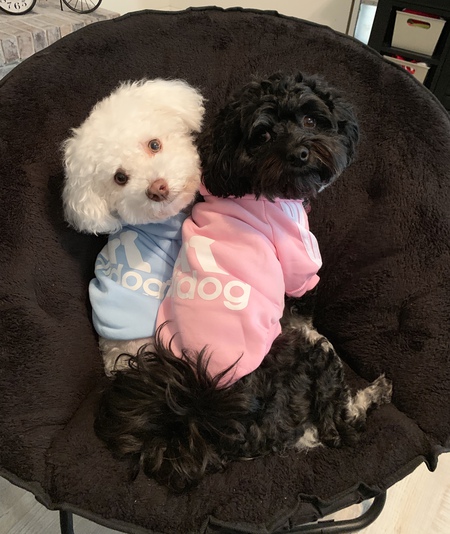 HHR Cooper (left) & sis Mia