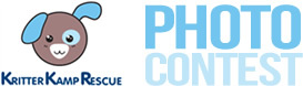 Logo for Kritter Kamp Photo Contest
