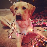Entry image for Tucker