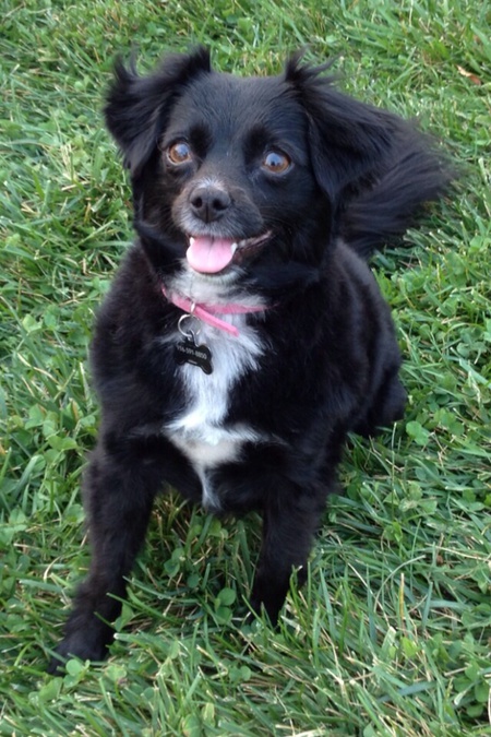 Entry image for Bridget. Clicking this image will show a larger photo