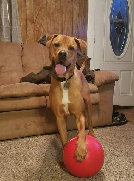 Ruger