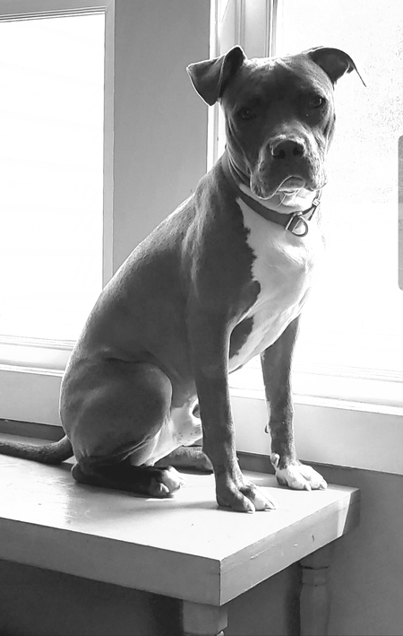 Leonard 