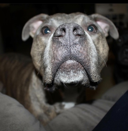 Roscoe