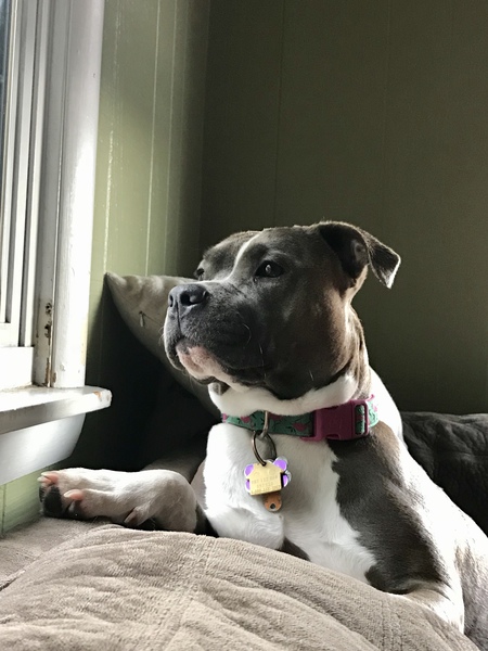 Lucy