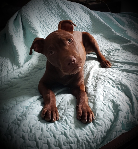 Walter