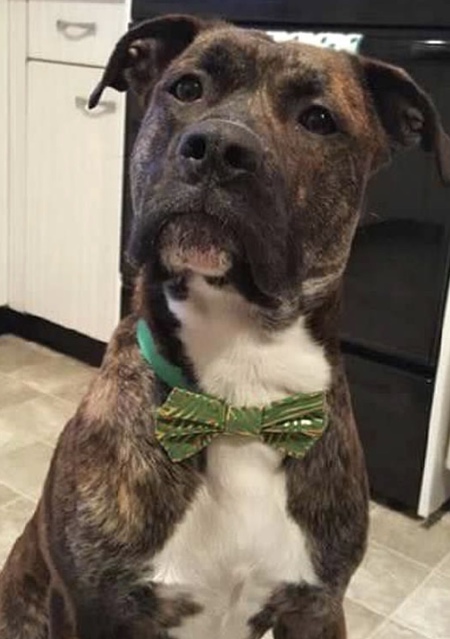 Gus