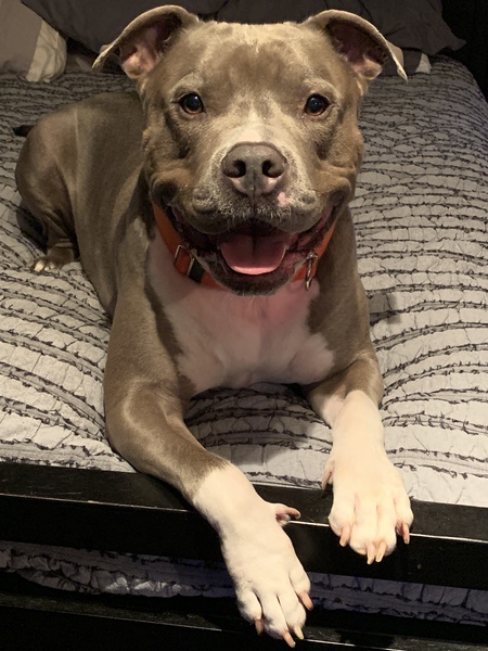 Gunner 