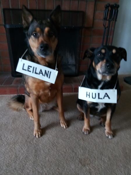 Leilani and Hula