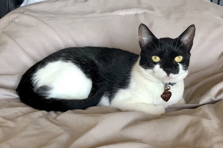 Luna