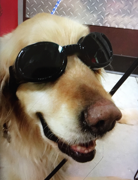 Junior