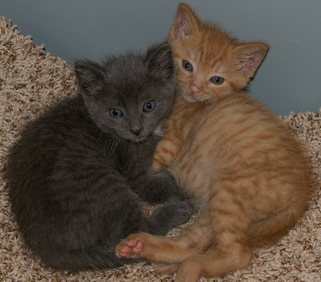Brian and Elliott