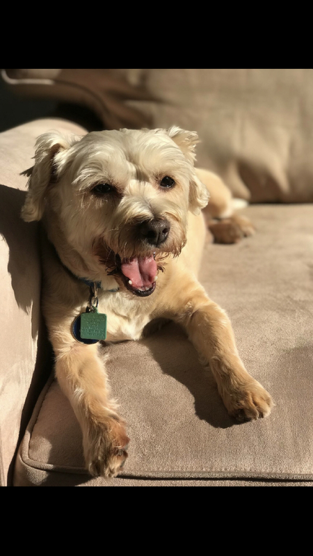 Baxter 