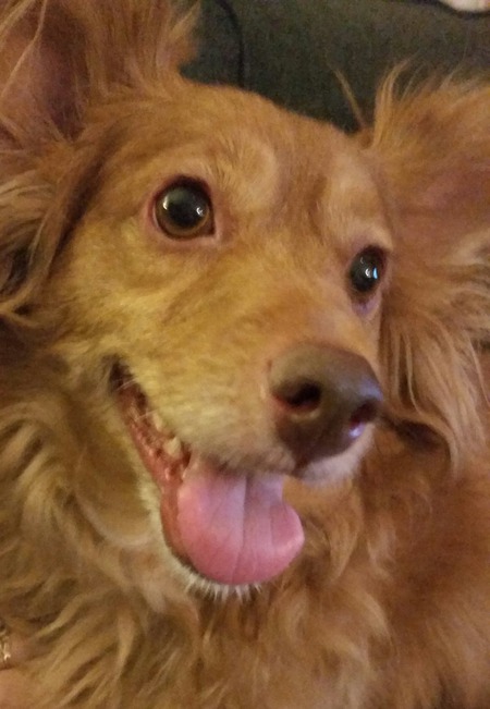 Lola