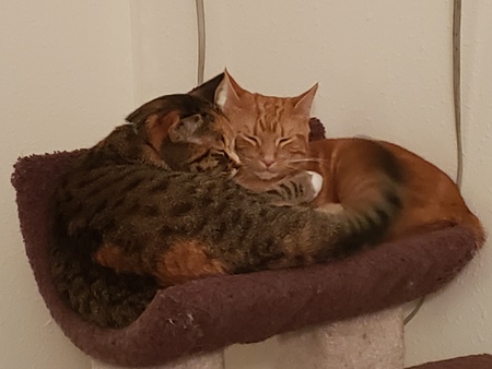 Claire and Bert