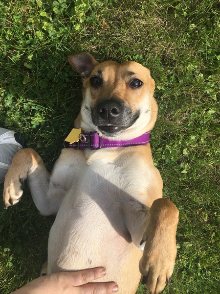 Chloe